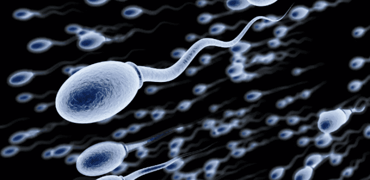 Common Habits That Could Harm Your Sperm